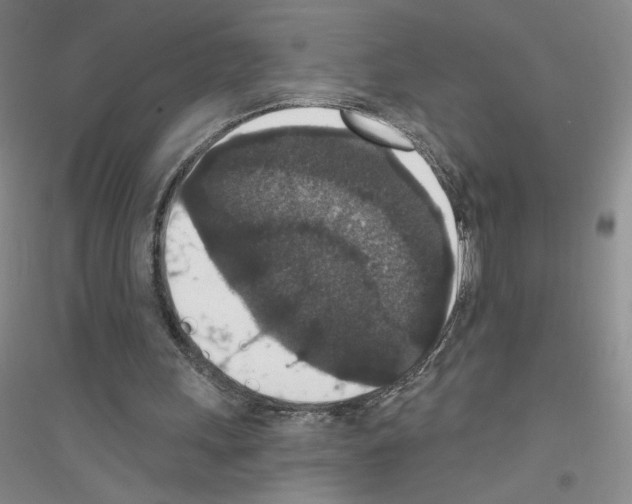 X0000116770243201001281638
