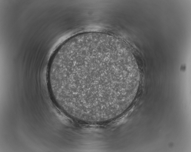 X0000116770244201001281638