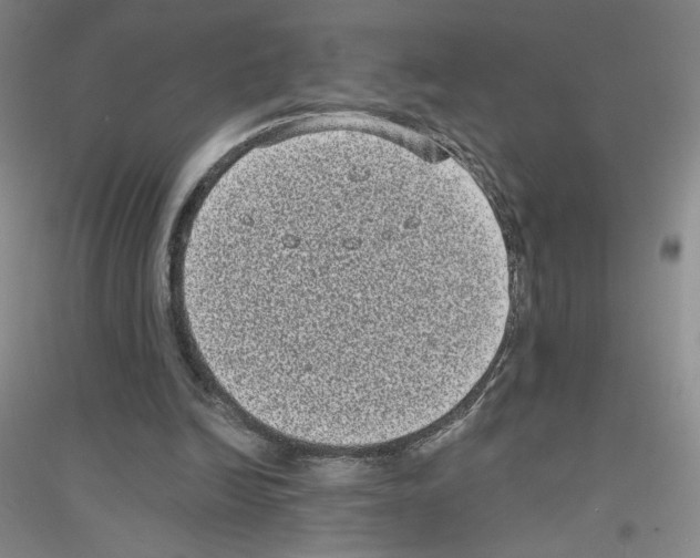 X0000116770246201001281639