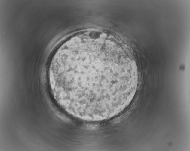 X0000116770247201001281639