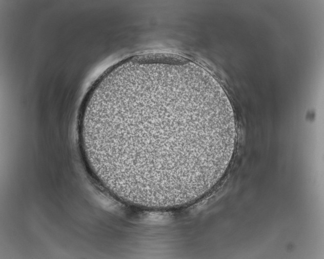 X0000116770248201001281639