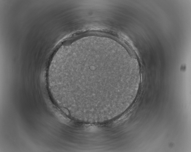 X0000116770249201001281639