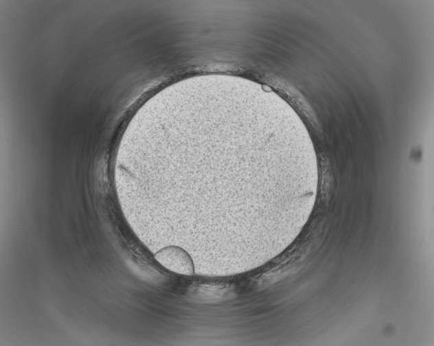X0000116770251201001281639