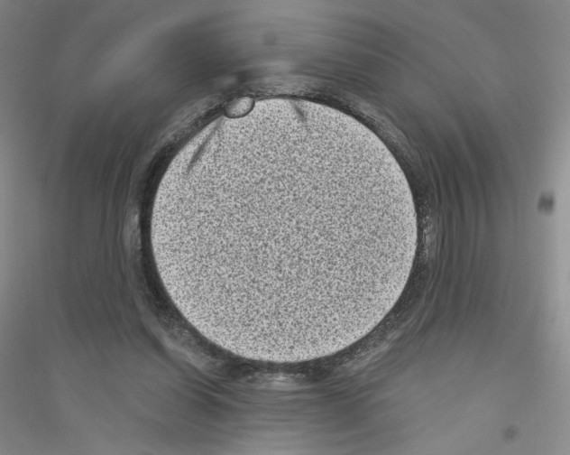 X0000116770254201001281639