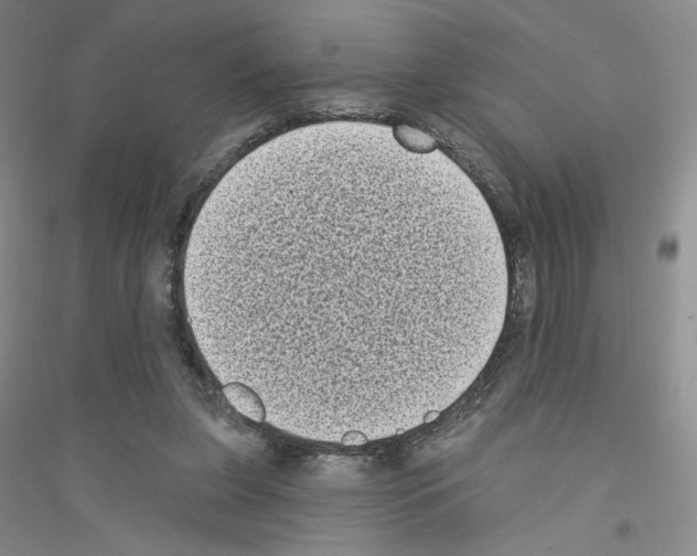 X0000116770255201001281639