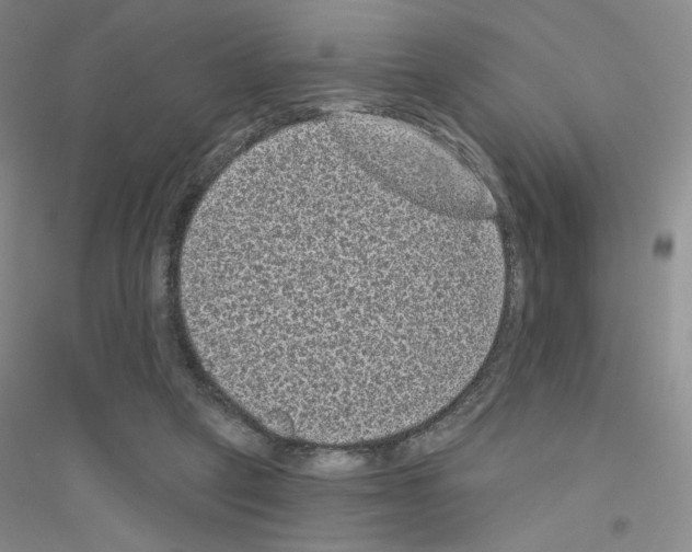 X0000116770257201001281639