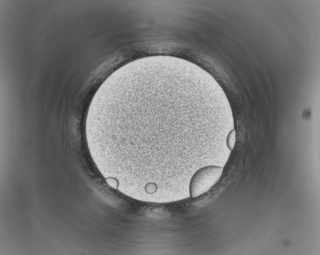 X0000116770258201001281639
