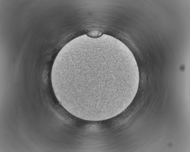 X0000116770259201001281639