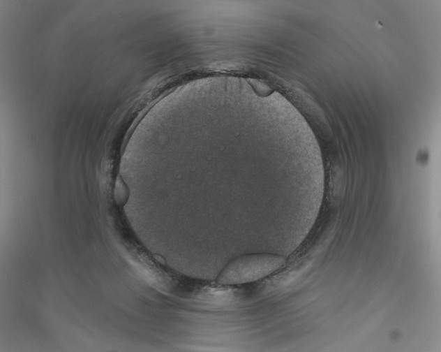 X0000116770260201001281639