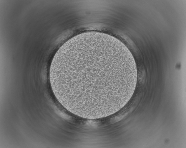 X0000116770261201001281639