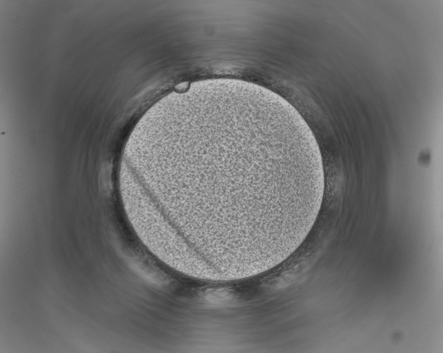 X0000116770262201001281639