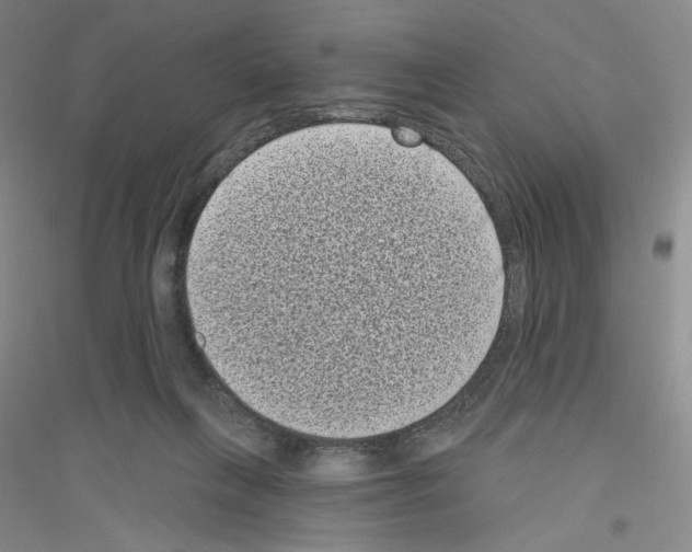 X0000116770263201001281639