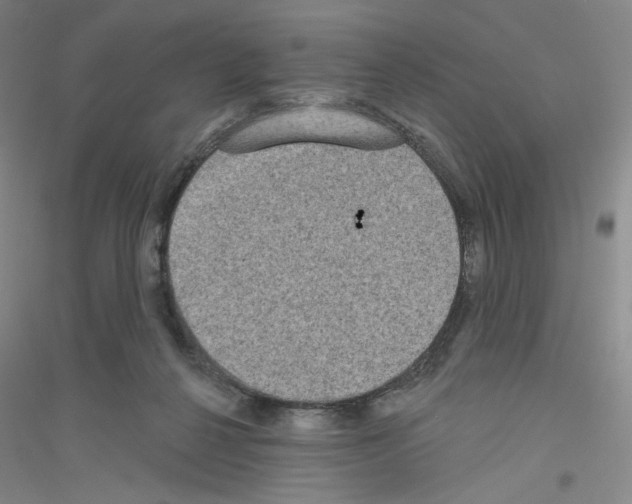 X0000116770264201001281639