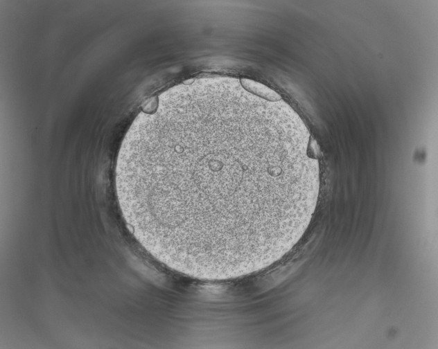 X0000116770265201001281639
