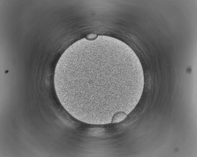 X0000116770266201001281639