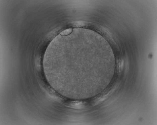 X0000116770267201001281639
