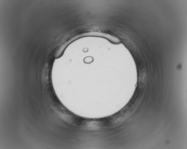 X0000116770268201001281639
