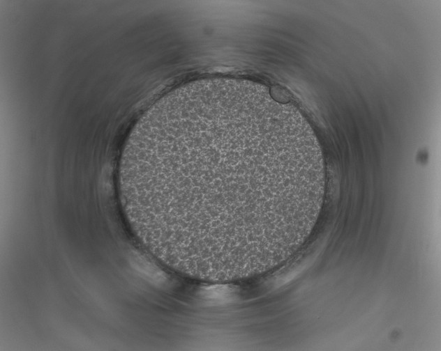 X0000116770269201001281639