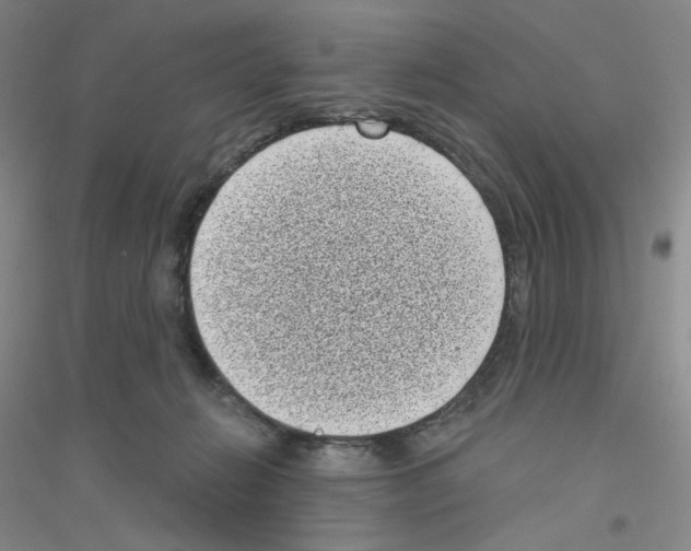X0000116770270201001281639