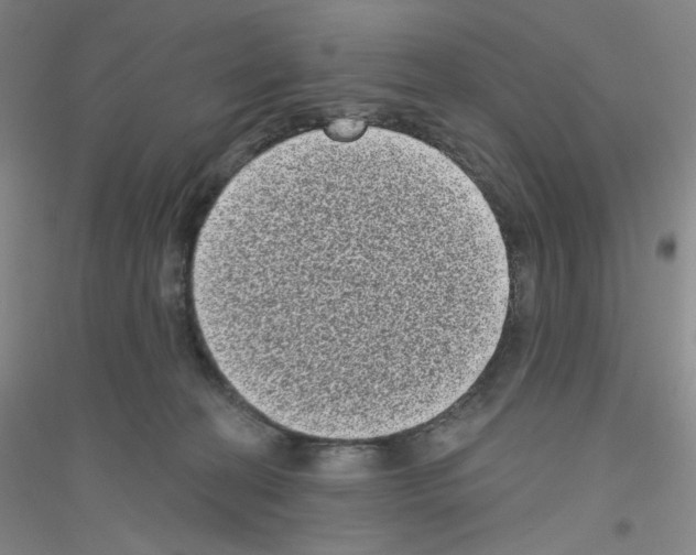 X0000116770274201001281639