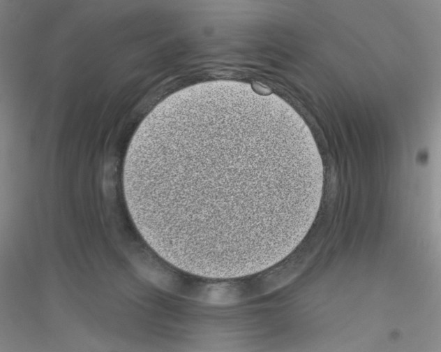 X0000116770275201001281639