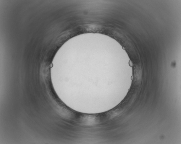 X0000116770276201001281639