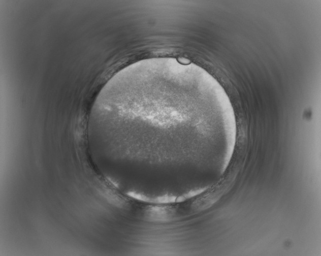 X0000116770277201001281639