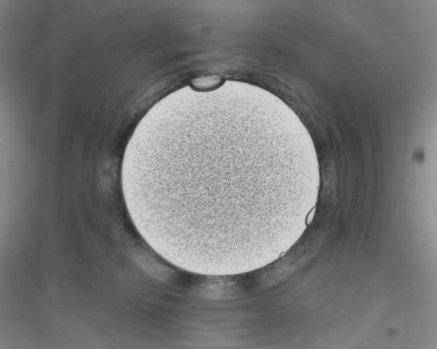 X0000116770278201001281639