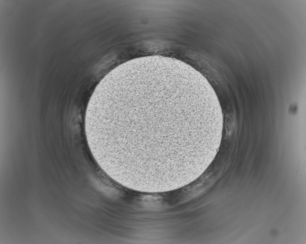 X0000116770279201001281639