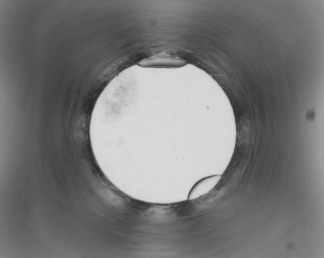 X0000116770280201001281639