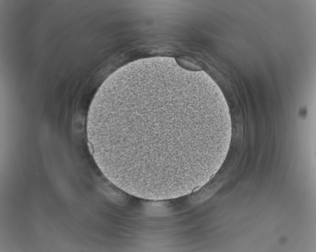 X0000116770281201001281639