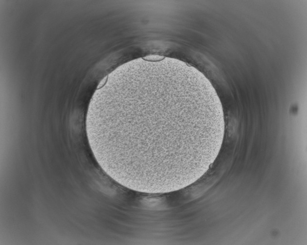 X0000116770283201001281639