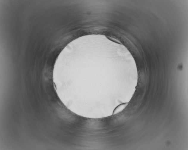 X0000116770284201001281639