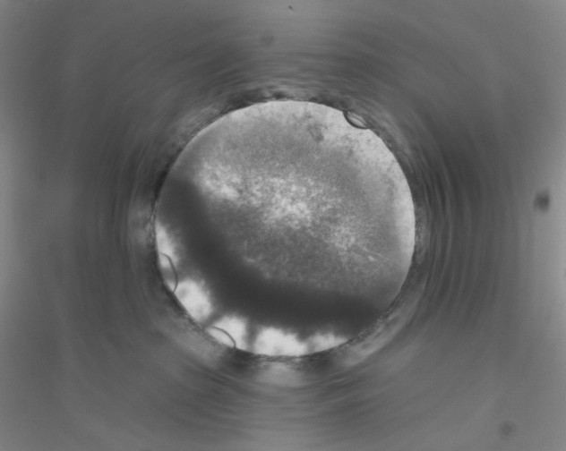 X0000116770285201001281639
