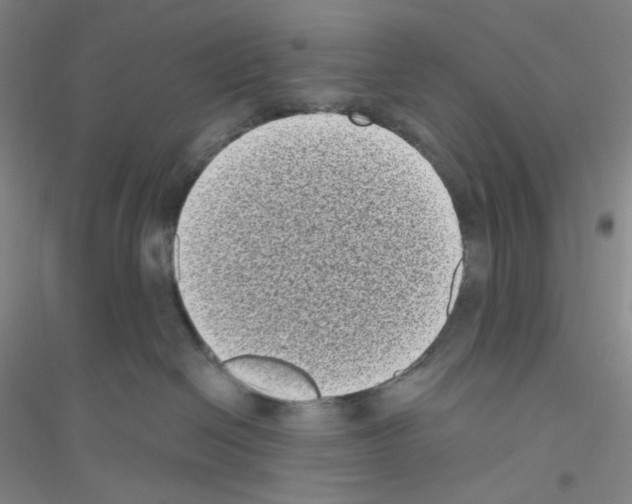 X0000116770286201001281639