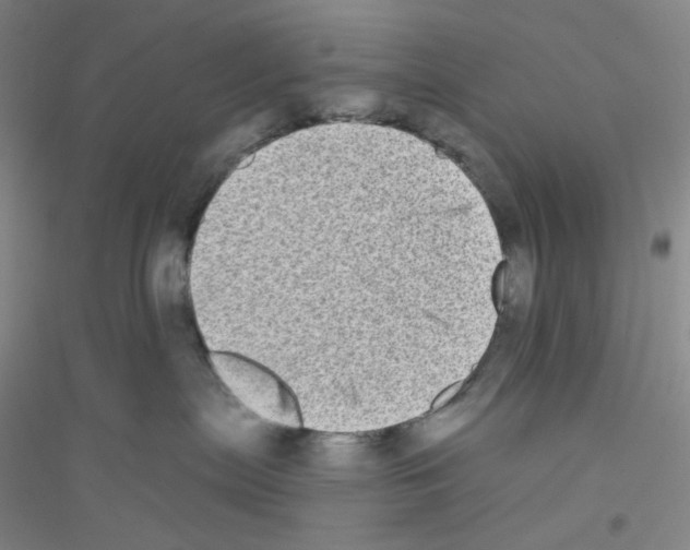 X0000116770287201001281639