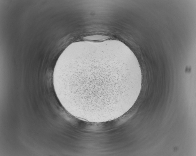 X0000116770288201001281639