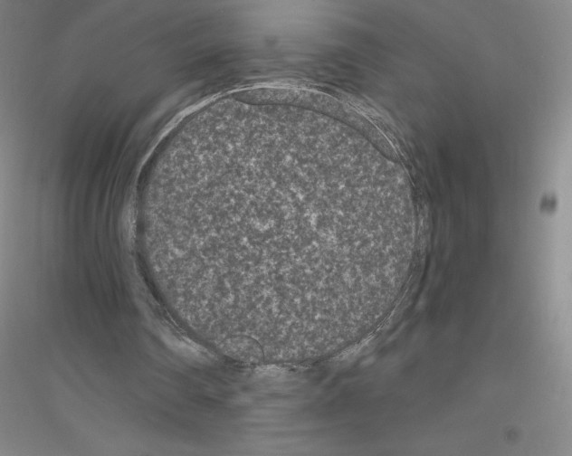 X0000116770290201001281638