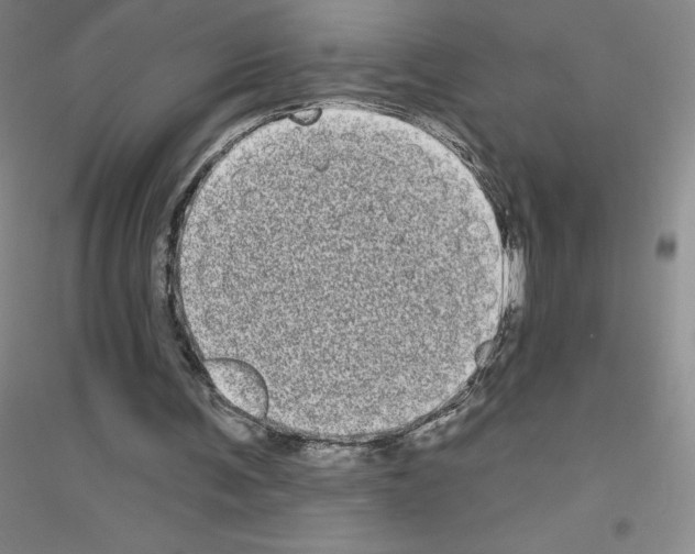 X0000116770291201001281638