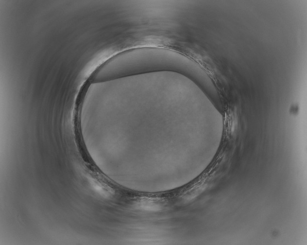 X0000116770292201001281638