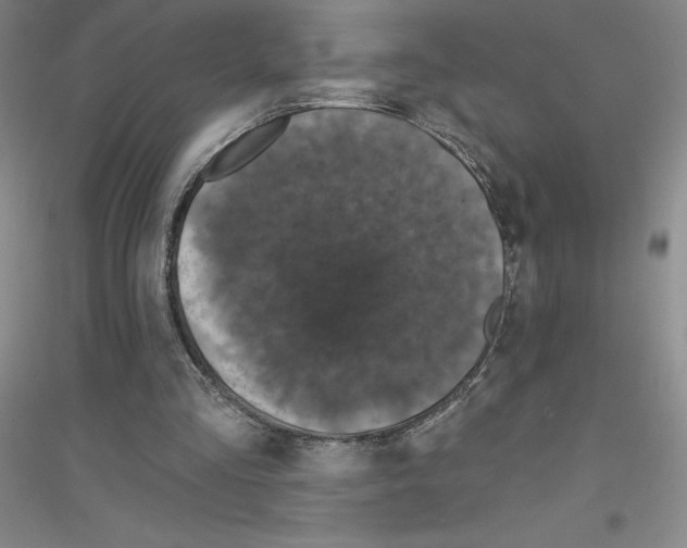 X0000116770293201001281638
