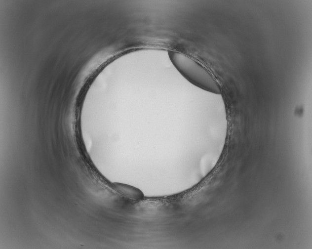 X0000116770294201001281638