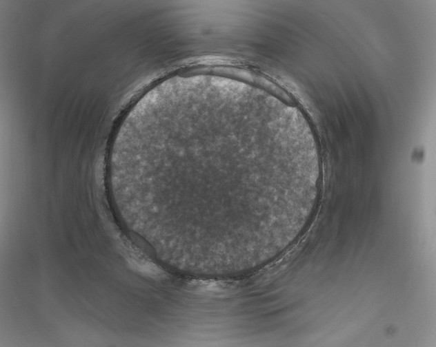 X0000116770297201001281638