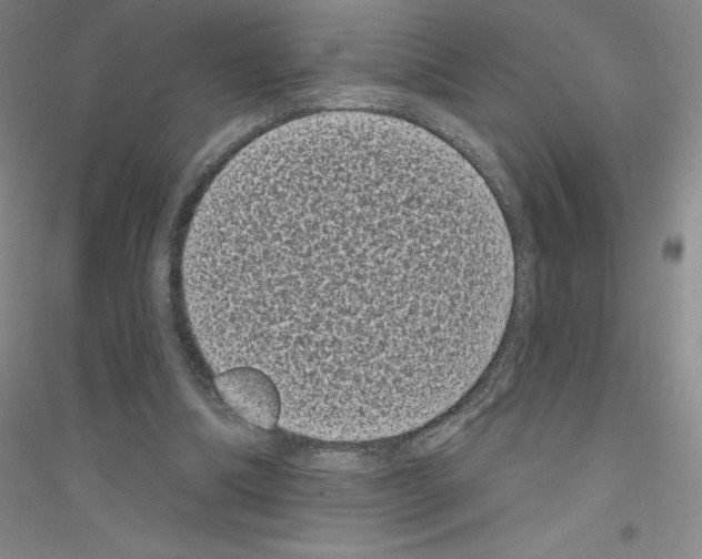 X0000116770298201001281638