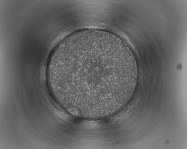 X0000116770299201001281638