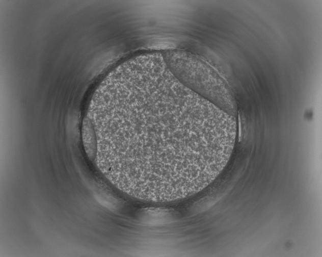 X0000116770300201001281638