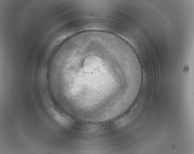 X0000116770302201001281638