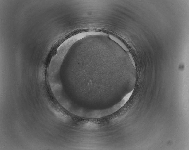 X0000116770303201001281638