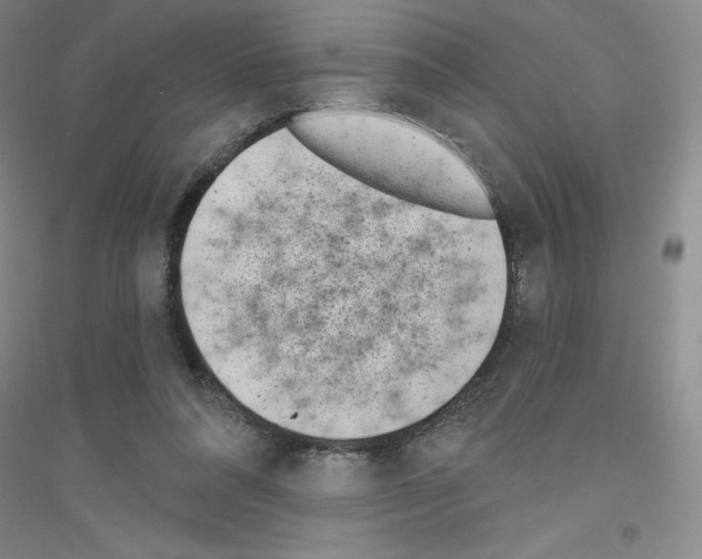 X0000116770304201001281638