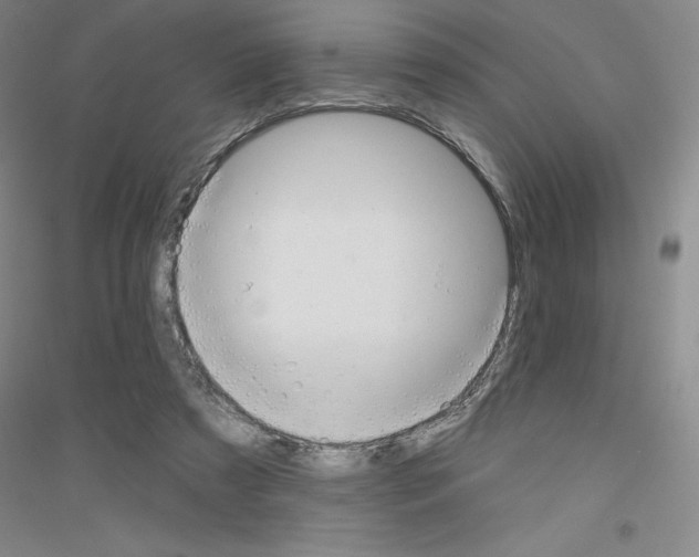 X0000116770305201001281638